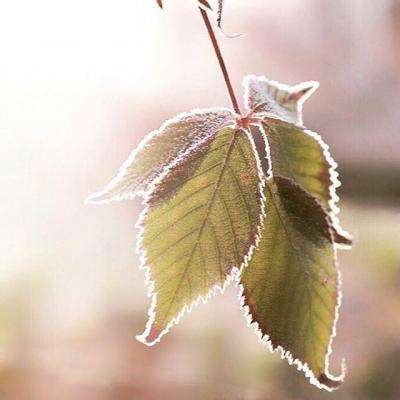 炸弹台球增强版